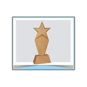 Manufacturers Exporters and Wholesale Suppliers of Star Trophies New Delhi Delhi